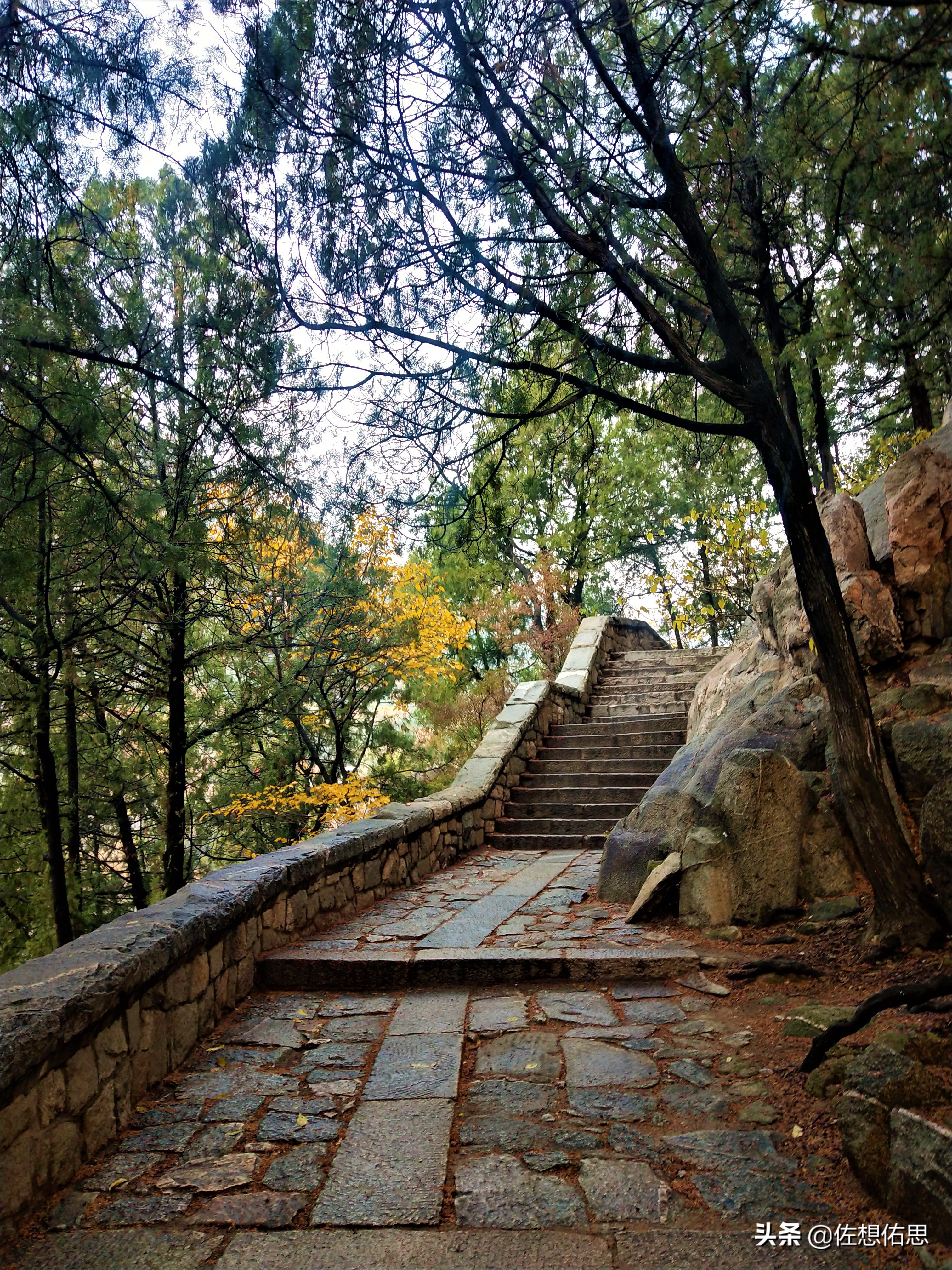 扇子崖优惠,泰安扇子崖免门票吗