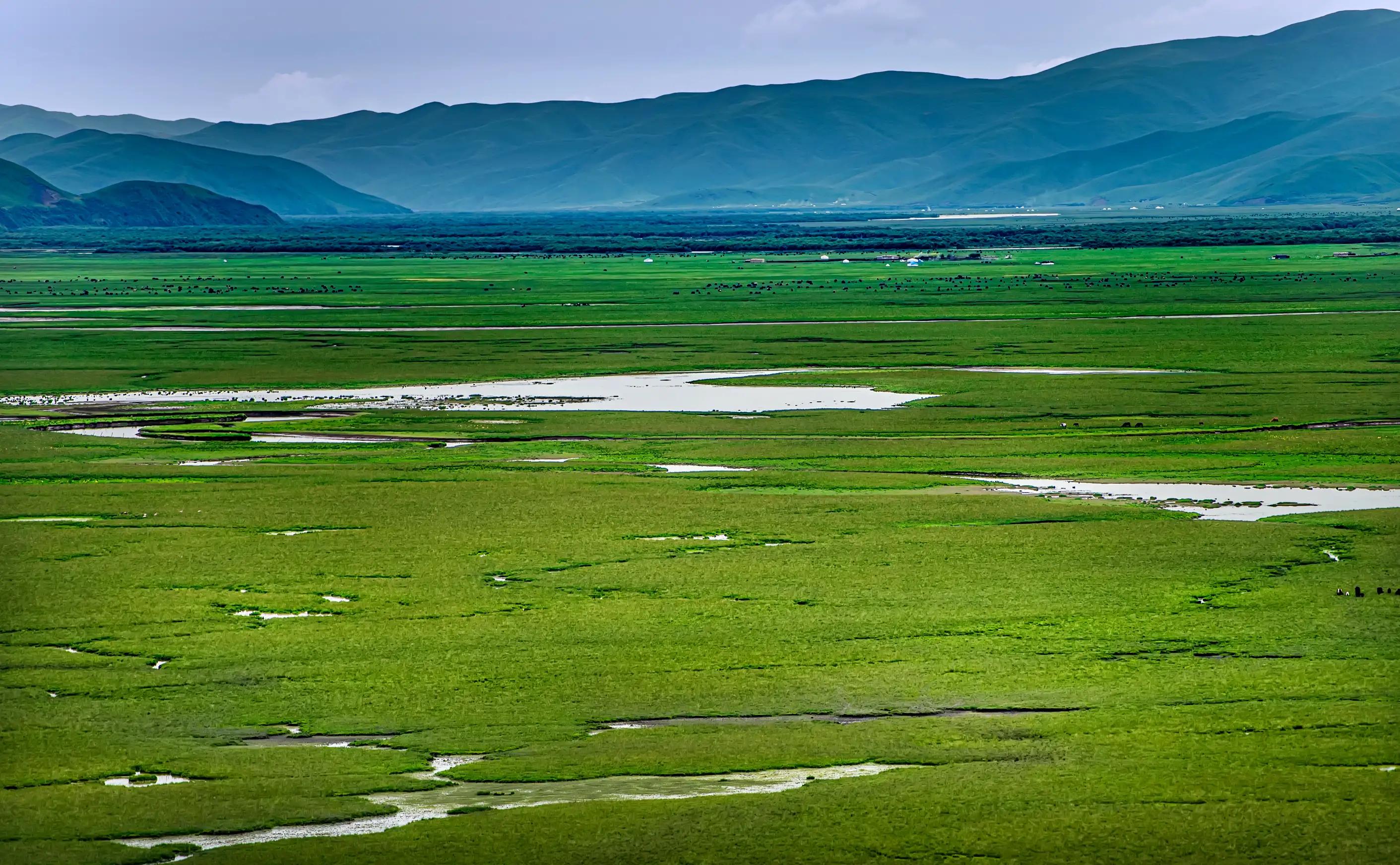 川西甘南十五日环线自驾游,甘南川西环游系列之四