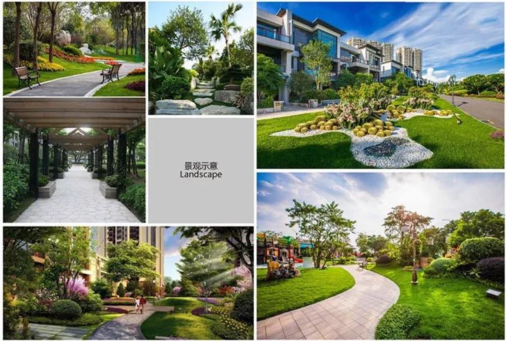 碧桂园银城天境,碧桂园天境2024新品