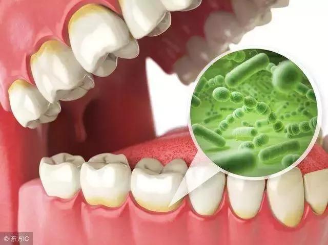 婴幼儿13种菌群,母婴肠道菌群