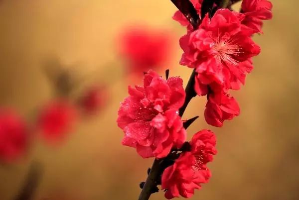 北京房山团建踏青地点推荐,北京房山春季旅游最佳去处