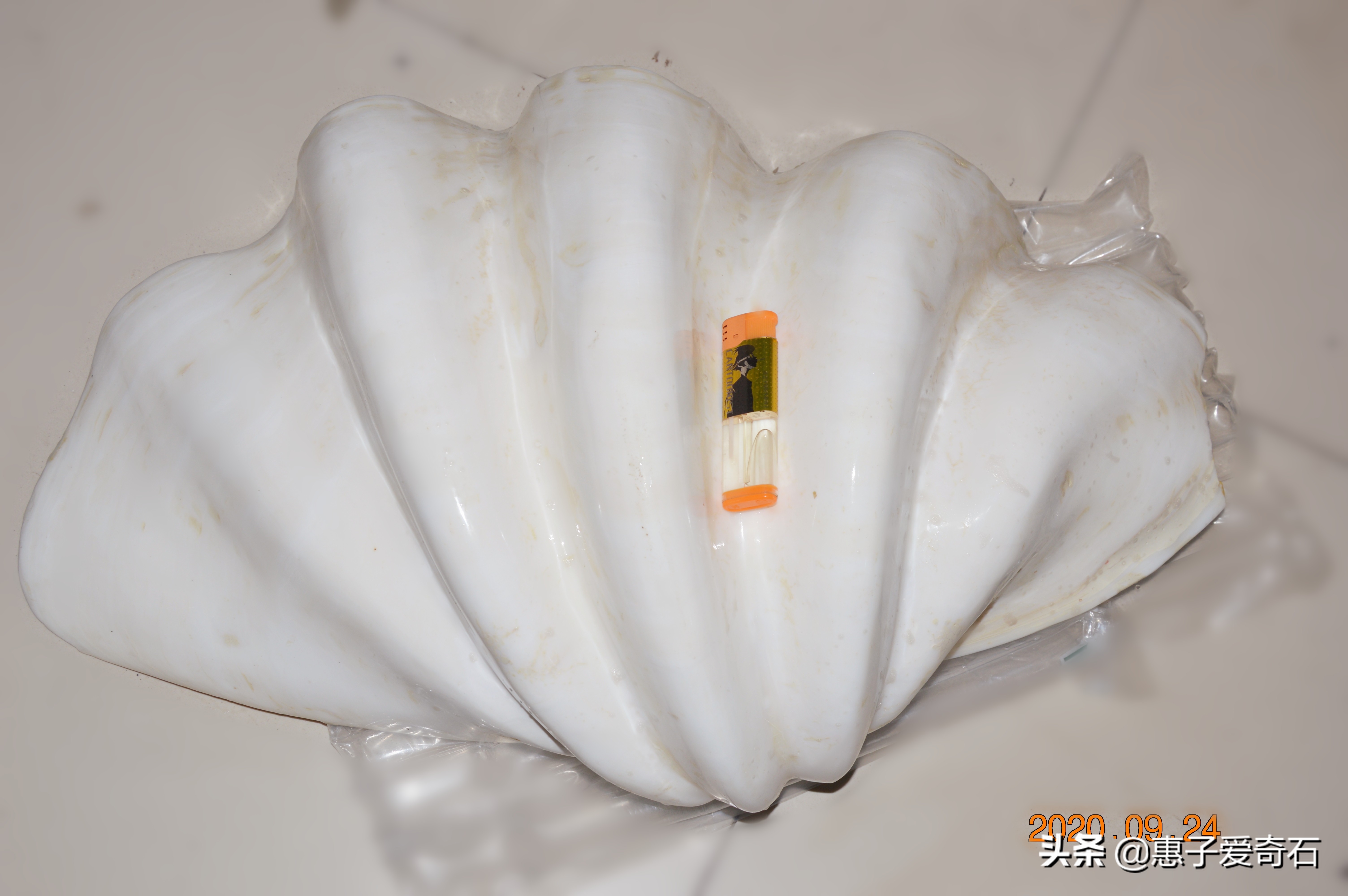 台湾稀世珍宝排名,台湾奇石精品图片