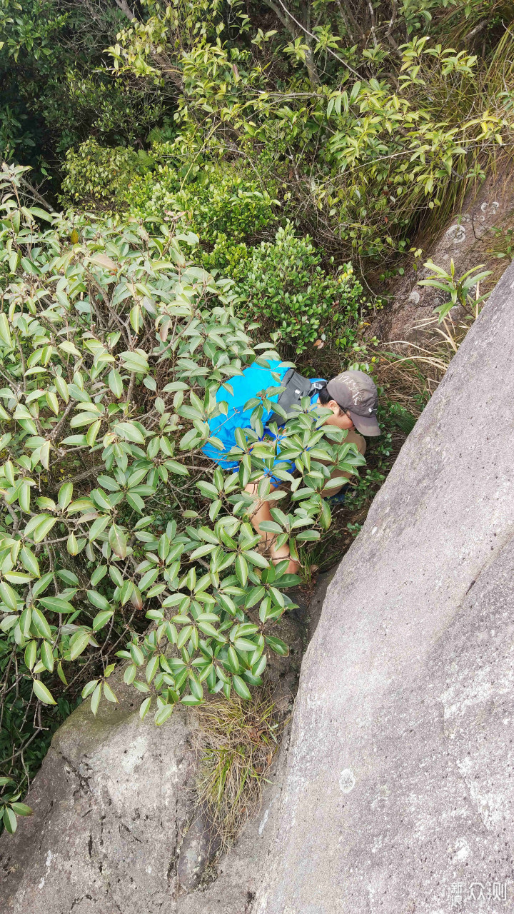 拓乐背包双肩包,拓乐户外背包