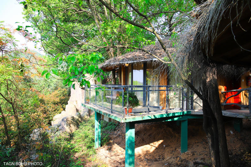 衢州常山春日旅游攻略,常山小众景点