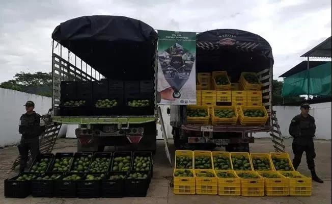 吃鱼子酱海葡萄三文鱼,吃鱼子酱奢侈