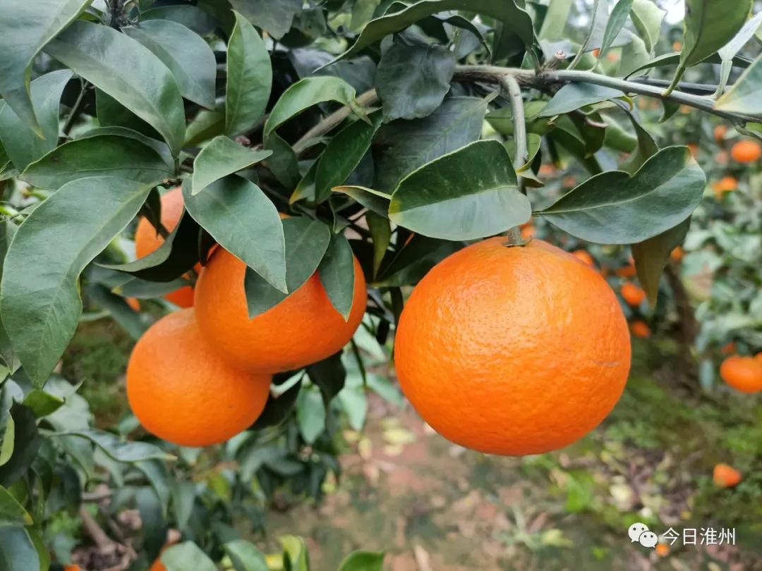 淮口景区,淮口附近旅游景区推荐一下