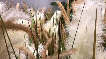 撩炸日韩少女心!风靡韩国的「花草系」咖啡店,韩国明星都爱去!