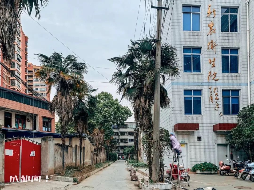 新繁=心烦？？曾经的五强县为何沦落到这种地步？