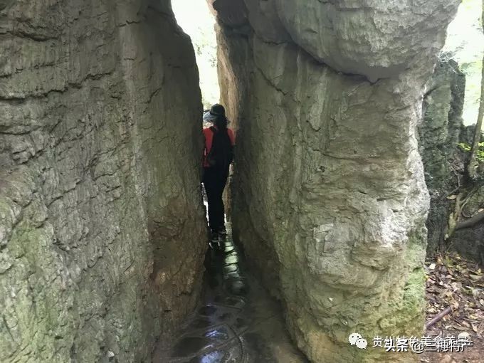 黄果树瀑布游玩攻略费用多少,贵州黄果树瀑布千户苗寨旅游攻略