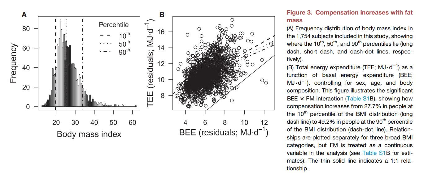 为什么拼命健身运动还是没有腹肌,为什么拼命减肥没效果