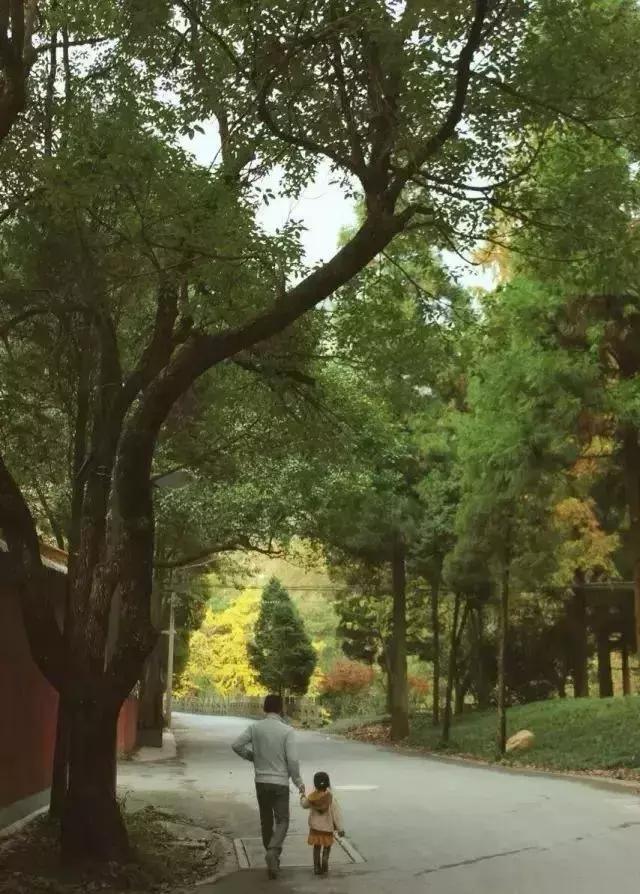 天目山斐文禅意酒店,天目山上客堂酒店斐文野奢民宿