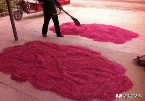 吡虫啉搭配哪些药使用,吡虫啉对蔬菜的使用方法