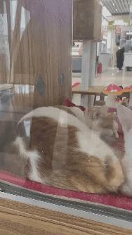 “教你怎么和家里的长辈微信聊天？”这操作太骚了！