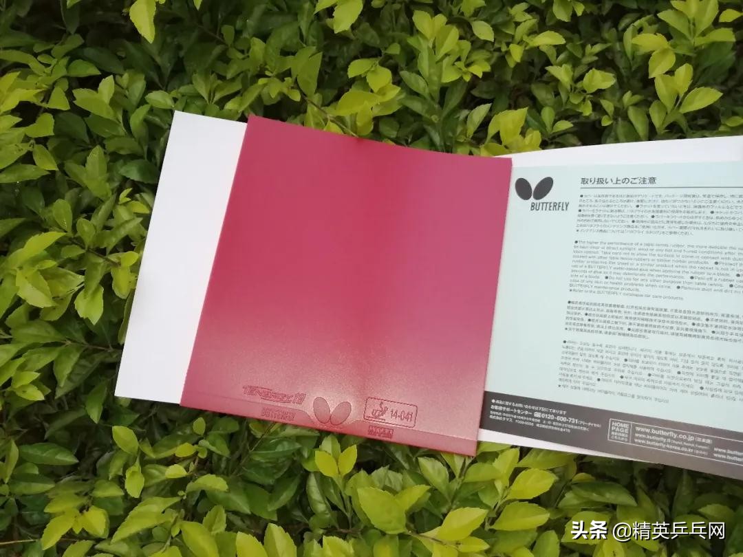 蝴蝶t19套胶对比d09c,蝴蝶t19和t05谁适合反手