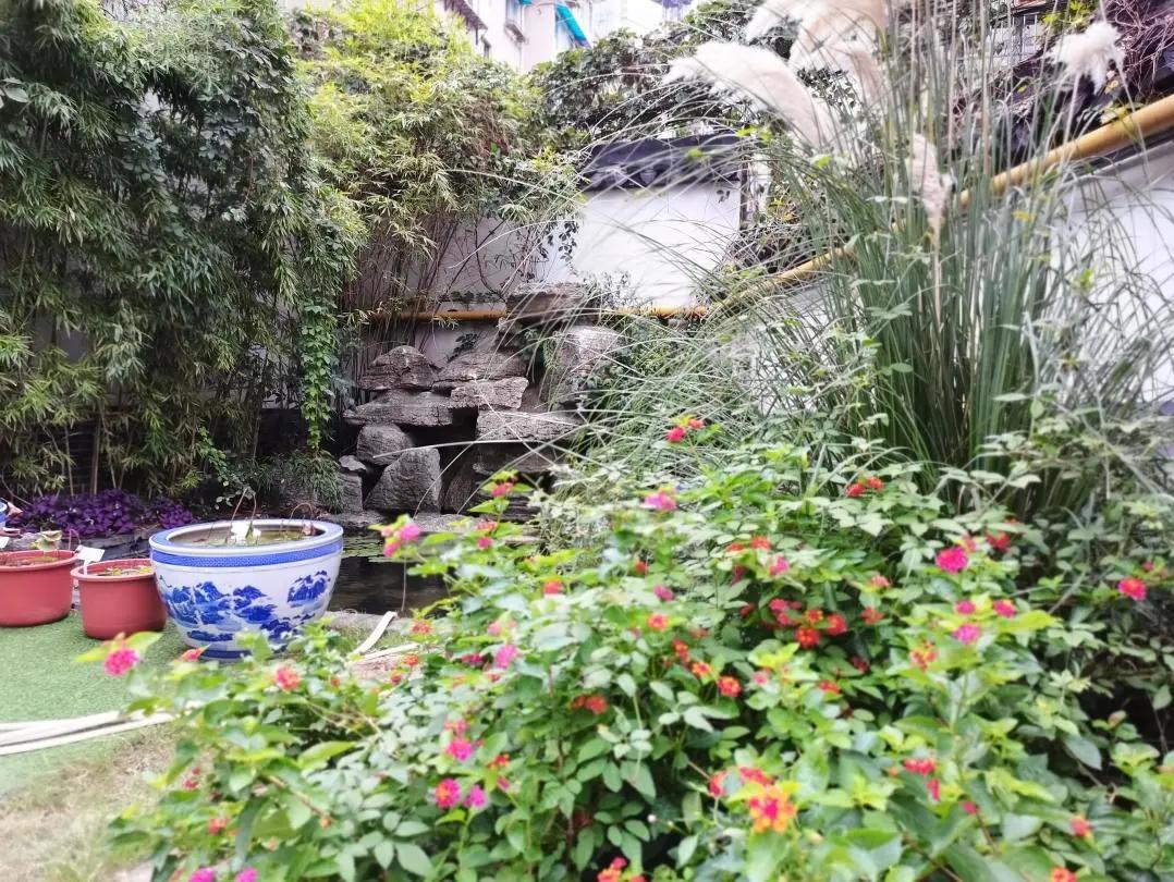 最美的风景美丽的校园,最美的风景就是校园