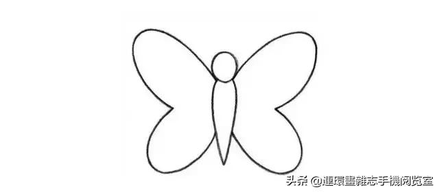 可爱的小昆虫简笔画,我认识的昆虫简笔画