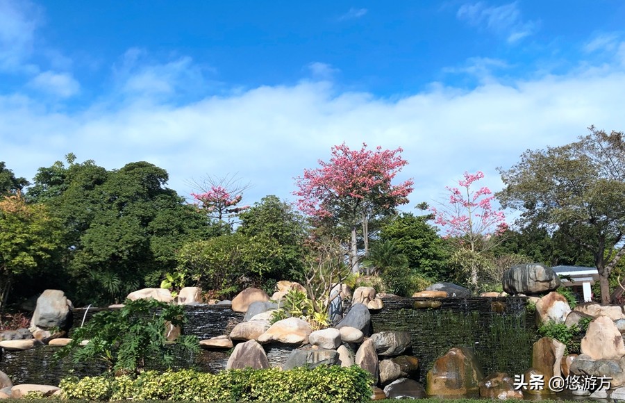 厦门海悦山庄酒店平面图,厦门海悦山庄旅游详解