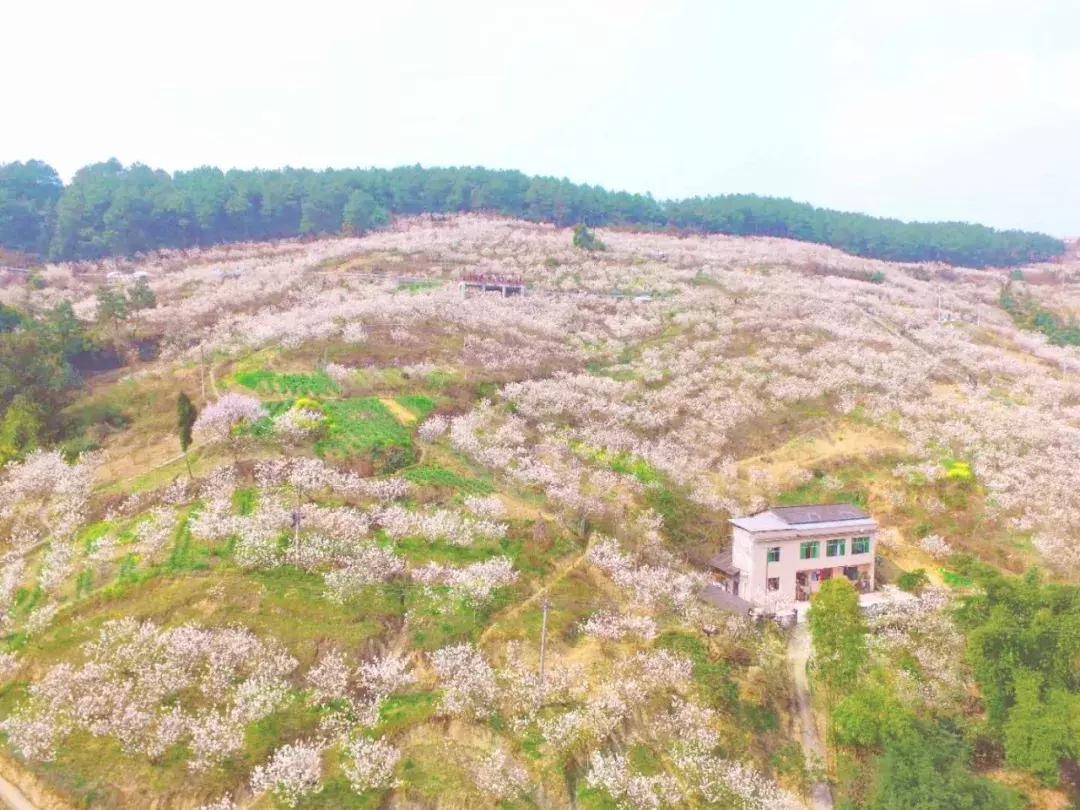 这一生必须去一次的地方,这一生要去一次丽江