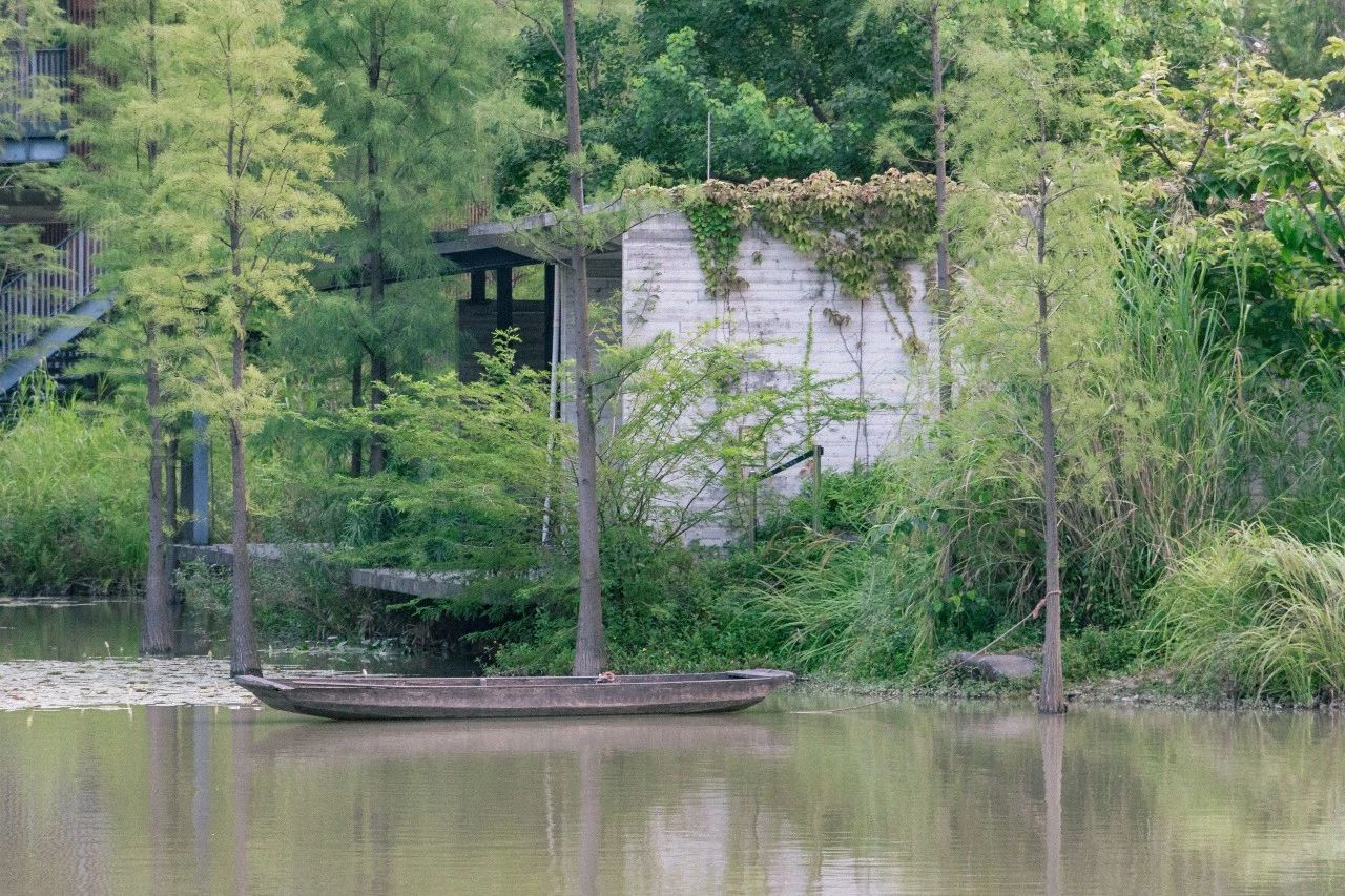 深圳游玩好去处攻略,深圳7个自驾游免费好去处推荐