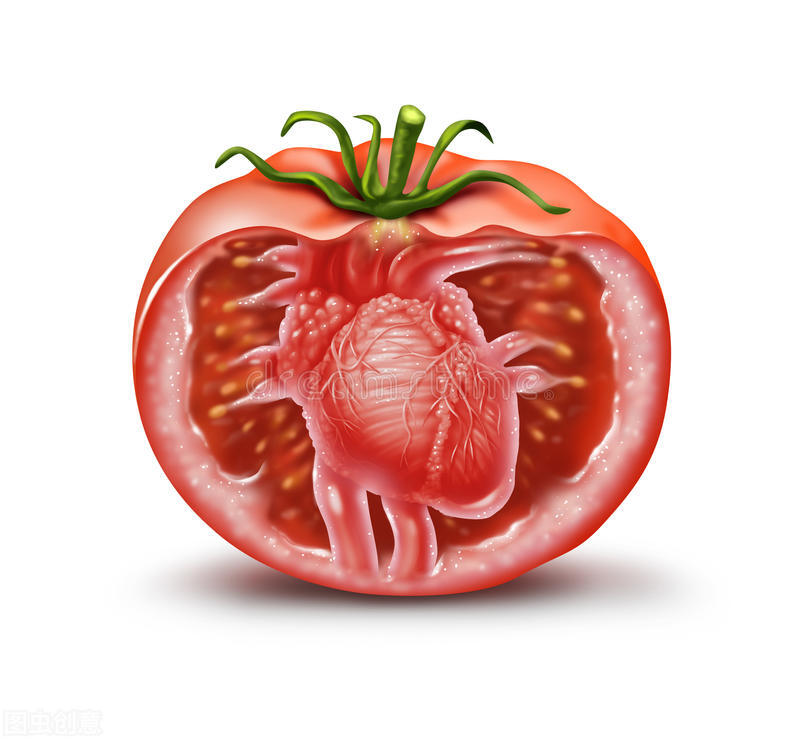 番茄红素在国内总销量,番茄红素的发展前景