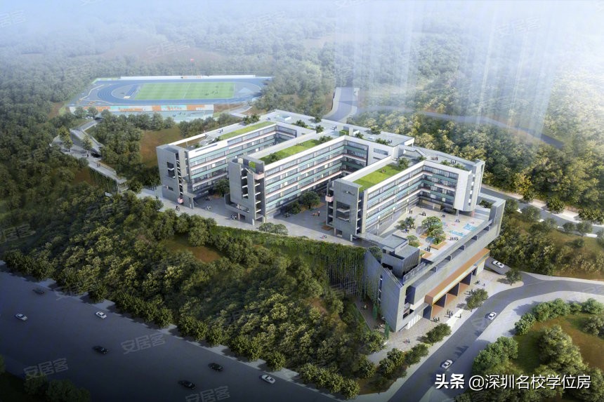 如何评价深圳市育才中学,深圳蛇口育才中学官网