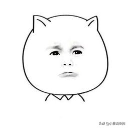 鼹鼠地鼠老鼠,鼹鼠和鼢鼠的区别图片