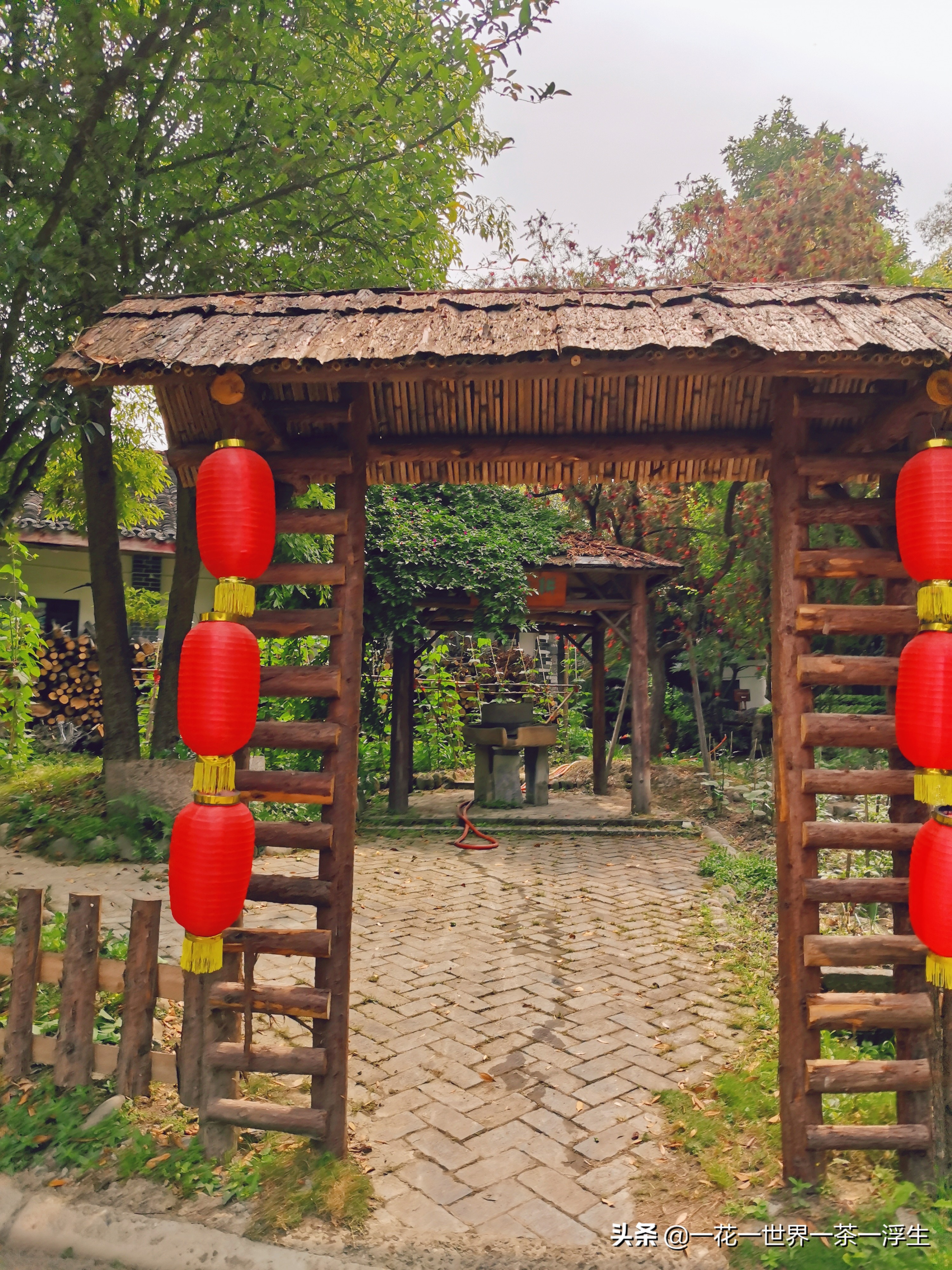 寻找巴适的成都小院(2)