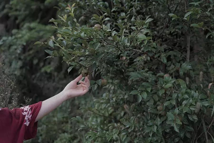 央视挖出来浙江冷门小城，小小鸭头都是世间绝味，人均100+住别墅