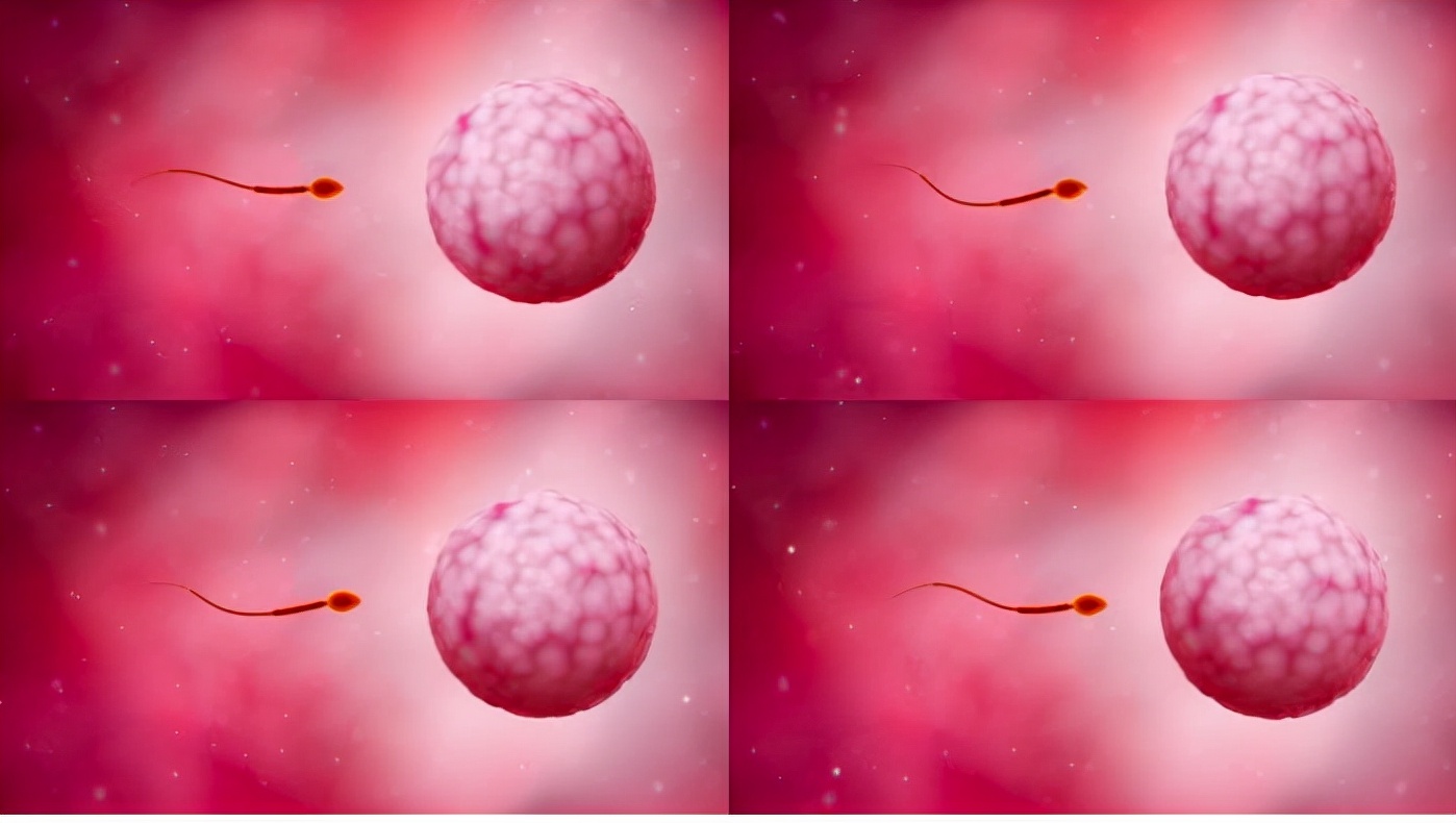 东亚人为什么有尼安德特人基因,尼安德特人和智人的混血