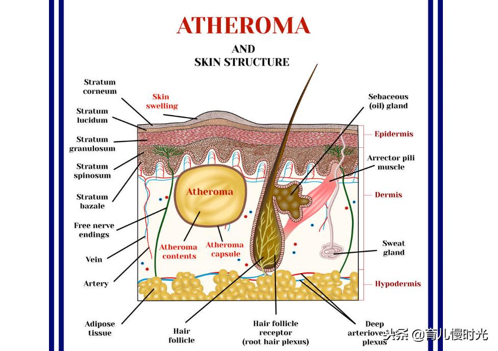 宝宝头上突然长了个硬疙瘩有点红,头上长了个软疙瘩怎么回事