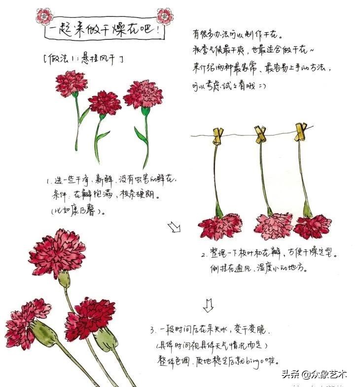 如何制作干花片,如何制作干花花束