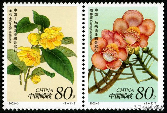 中国男足.七仙女.跆拳道.八大山人.聊斋｜2002全年邮票118张图片