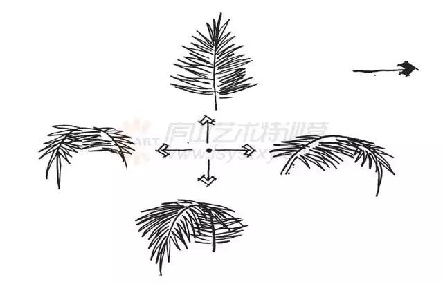 速写不难五分钟教你学会画速写,速写零基础初学者入门教程