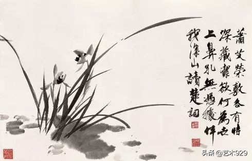 国画兰花的画法太棒了简单易学,泰国兰花绘画技法