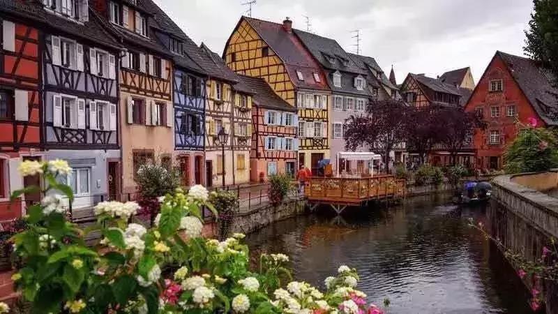 48页护照冷知识,全球护照冷知识大全