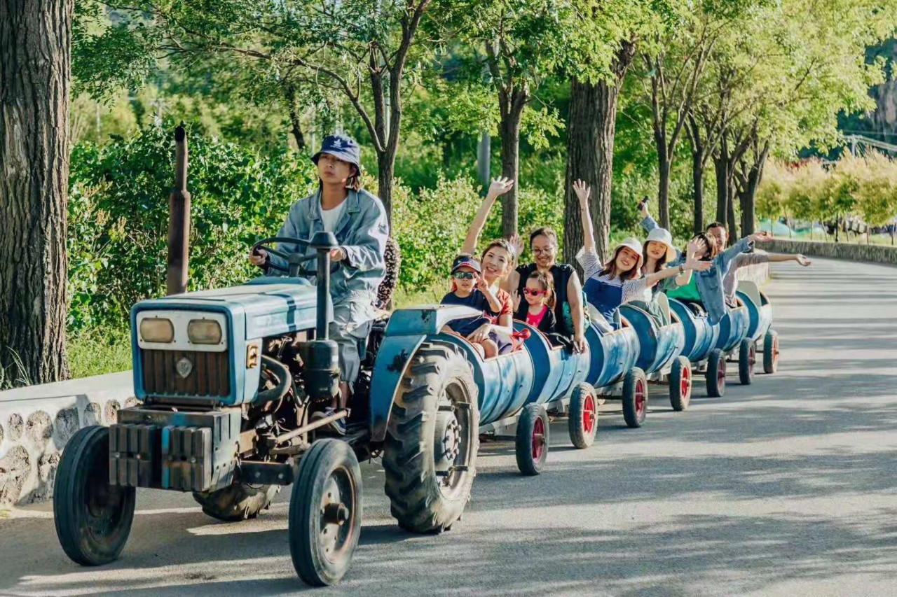 山野自然酷虫酷玩,玉米娃娃,一场自然与艺术融合的秋日盛宴