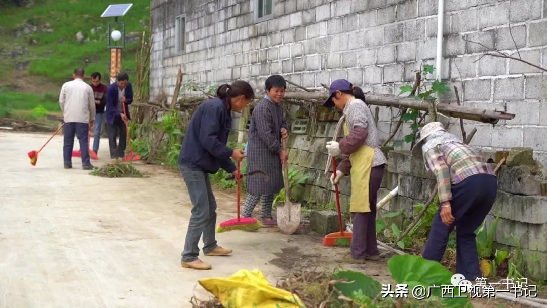 广西天等指天椒出名,广西天等指天辣椒种植