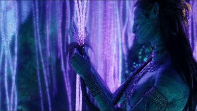 阿凡达最新彩蛋,阿凡达你不知道的隐藏细节