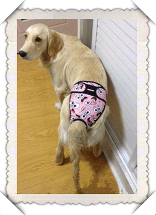 狗狗例假不流血怎么办,狗狗例假清洁