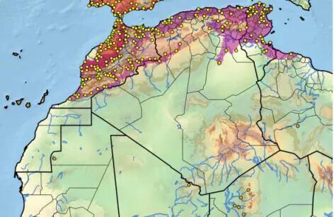 黄喉石龟图片大全,欧洲黄喉