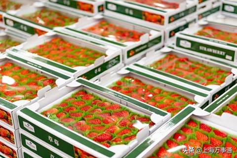 谁懂上海人的“克勒生活”？山姆会员商店用23年的实力证明