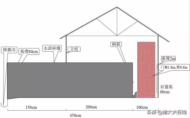 养猪猪舍设计建造,养猪最好的猪舍建造方法