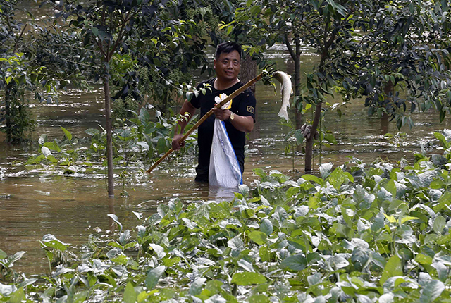 连续暴雨天鱼塘的管理,下暴雨后鱼塘有泡沫怎样处理