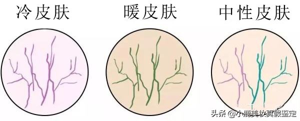 雅诗兰黛dw2c0怎么辨别真假图,雅诗兰黛dw粉底液正品如何鉴别