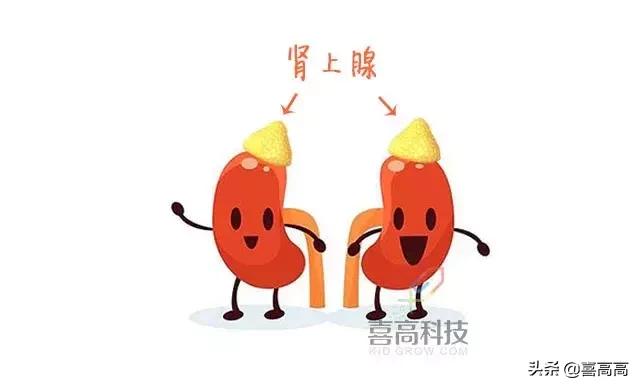 雾化药含激素，是“止咳神器”还是“长高杀手”？