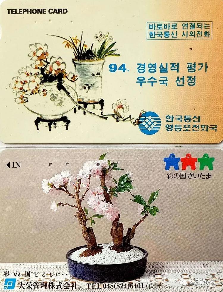 鐩嗘櫙鑱旂郴鐢佃瘽,鐩嗘櫙鑱旂郴鐢佃瘽鍙风爜