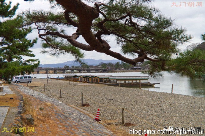 京都岚山风景区在哪,京都岚山樱花