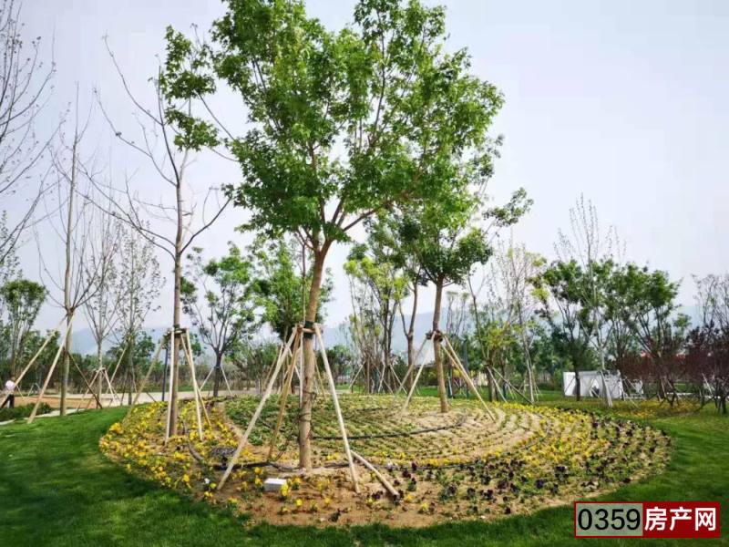 运城南山运动公园已开放,运城南山生态体育公园草坪