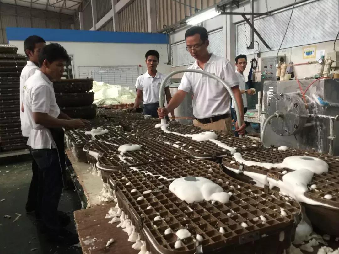 乳胶枕里的秘密,乳胶枕为什么感觉很潮