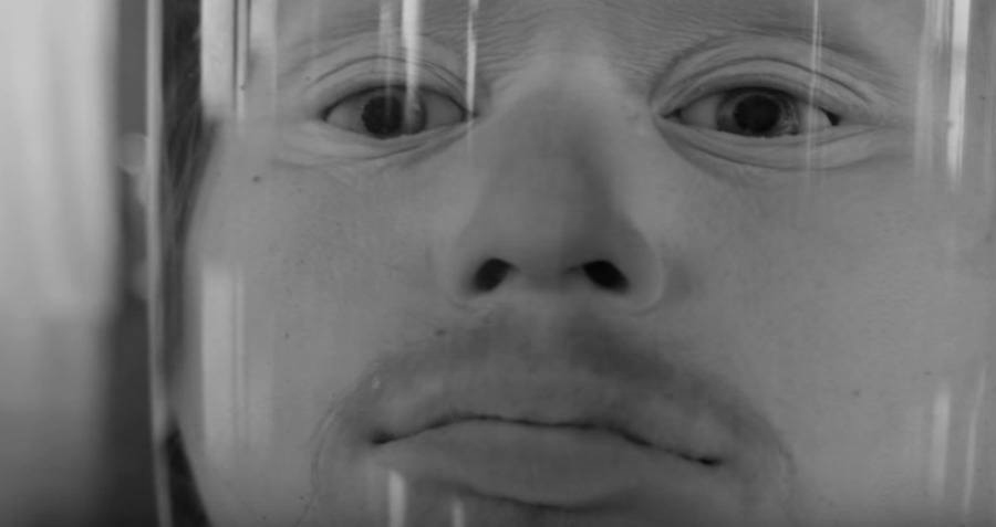 诡异幸存,诡异存活远古生物